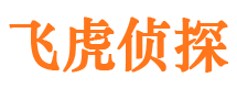 双流市调查公司